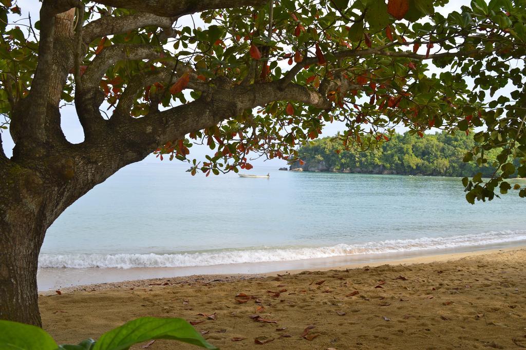 Kaz Kreol Beach Hotel Ocho Rios Bagian luar foto
