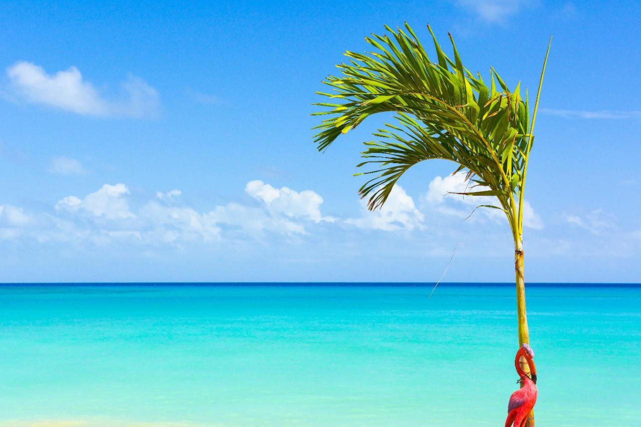 Kaz Kreol Beach Hotel Ocho Rios Bagian luar foto